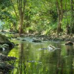 Flower Camping Les Tomasses - Bild 10