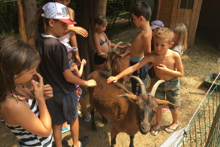 Flower Camping Les Tomasses - Bild 6