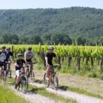 Flower Camping Les Truffières - Bild 14