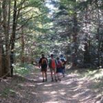 Flower Camping Saint-amand - Bild 11