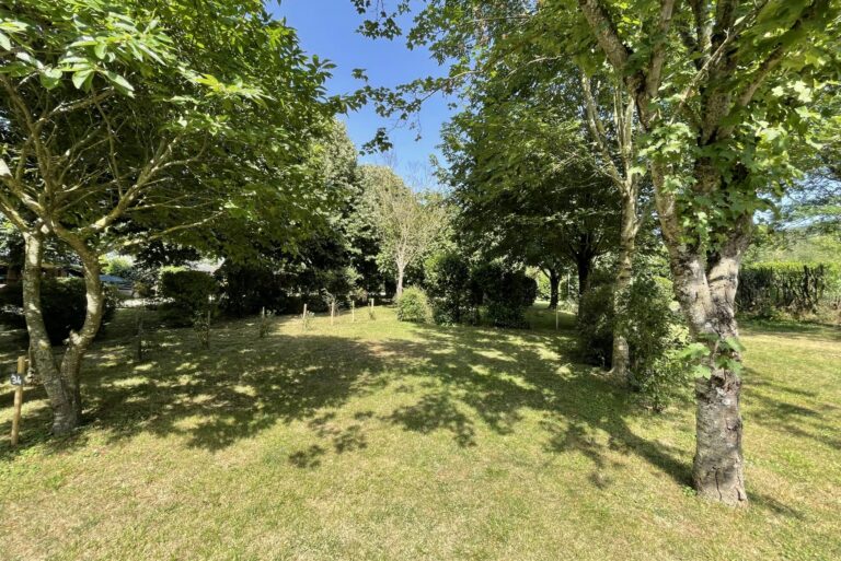 Flower Camping Saint-martin - Bild 14