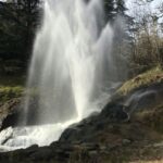 Flower Camping Saint-martin - Bild 17