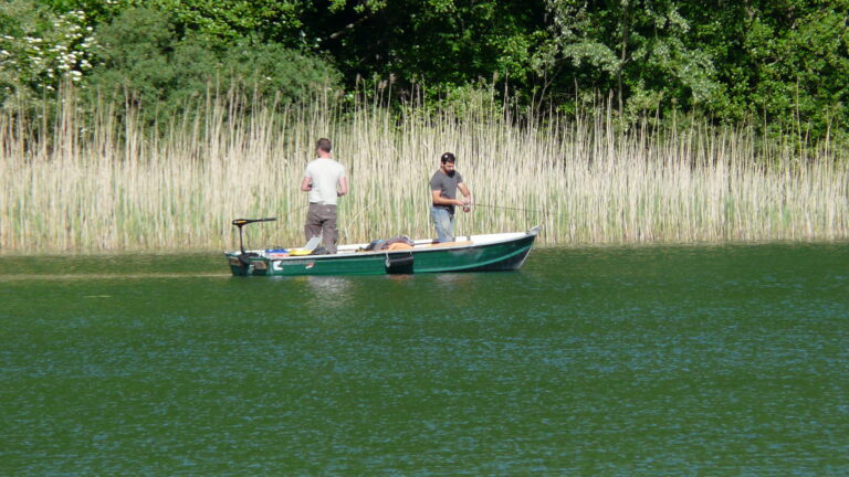 Flower Camping Ser Sirant - Bild 10 Flower Camping Ser Sirant - Bild 10