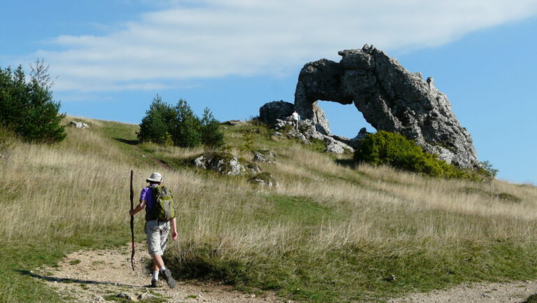 Flower Camping Ser Sirant - Bild 6 Flower Camping Ser Sirant - Bild 6