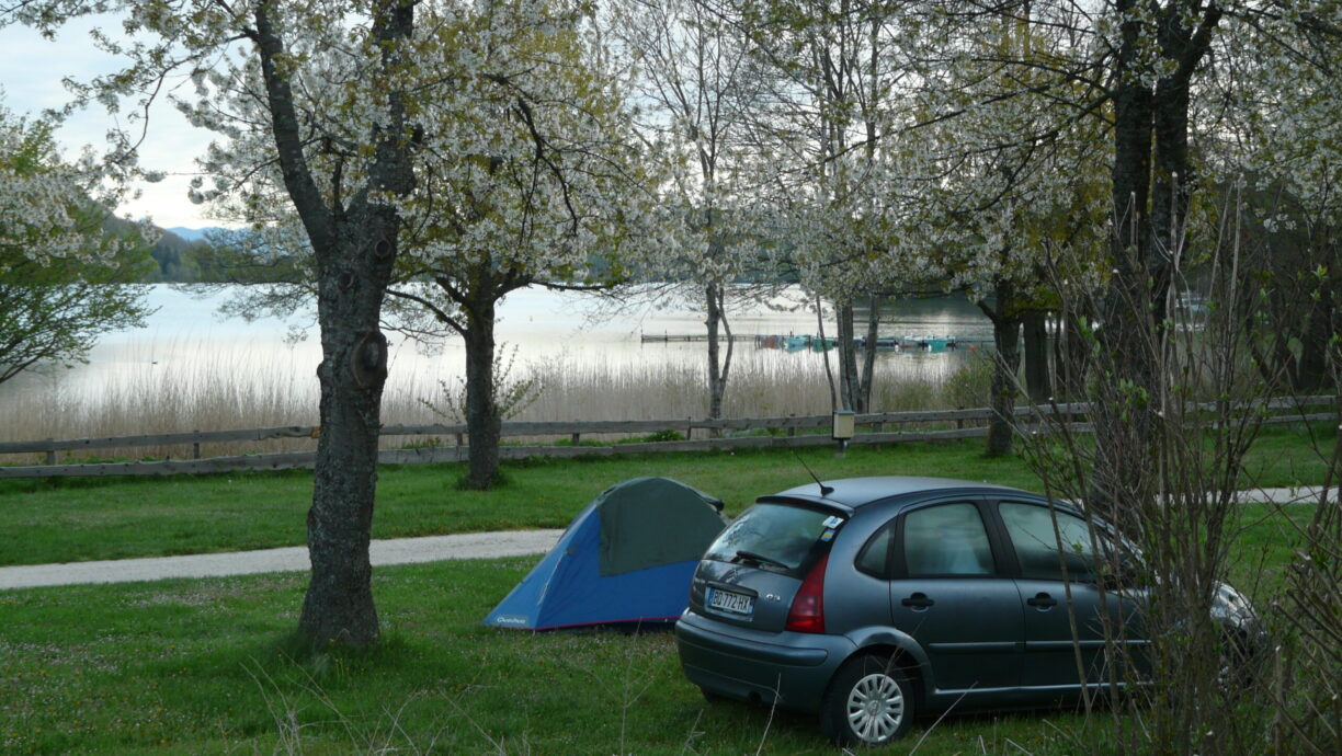 Flower Camping Ser Sirant - Bild 9 Flower Camping Ser Sirant - Bild 9