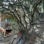 Flower Camping Torraccia - Bild 19