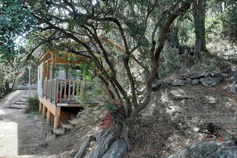 Flower Camping Torraccia - Bild 19