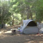 Flower Camping Torraccia - Bild 4