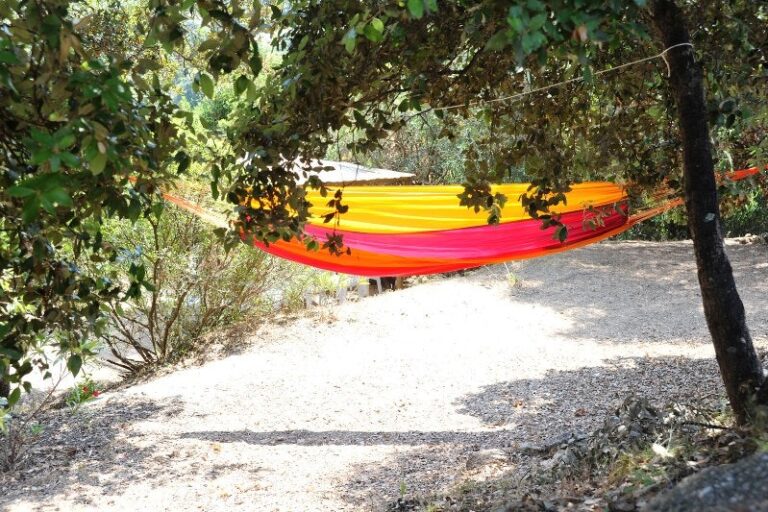 Flower Camping Torraccia - Bild 7