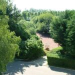 Flower Camping Vitamin - Bild 3