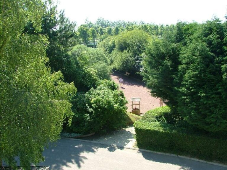 Flower Camping Vitamin - Bild 3