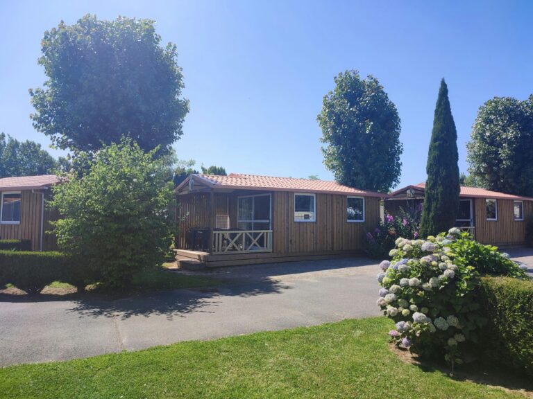 Flower Camping Vitamin - Bild 5