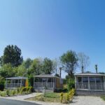 Flower Camping Vitamin - Bild 1