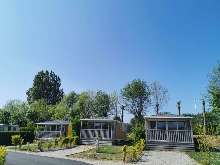 Flower Camping Vitamin - Bild 1