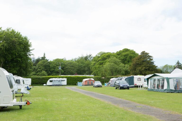 Forest Glade Holiday Park - Bild 5