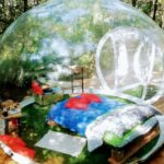 Future Is Nature - Bild 3