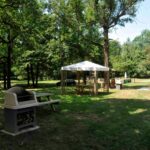 Future Is Nature - Bild 6