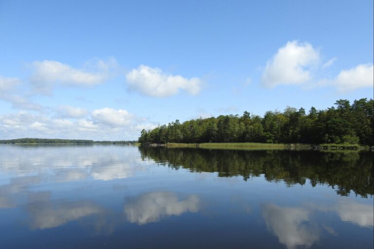 Getnö - Lake Åsnen Resort - Bild 8