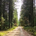 Give Camping - Bild 10 Give Camping - Bild 10