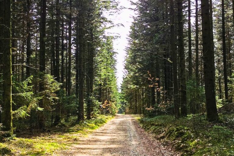 Give Camping - Bild 10 Give Camping - Bild 10