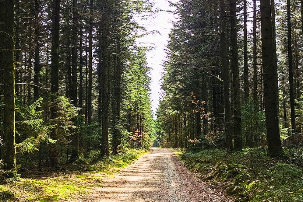 Give Camping - Bild 10 Give Camping - Bild 10