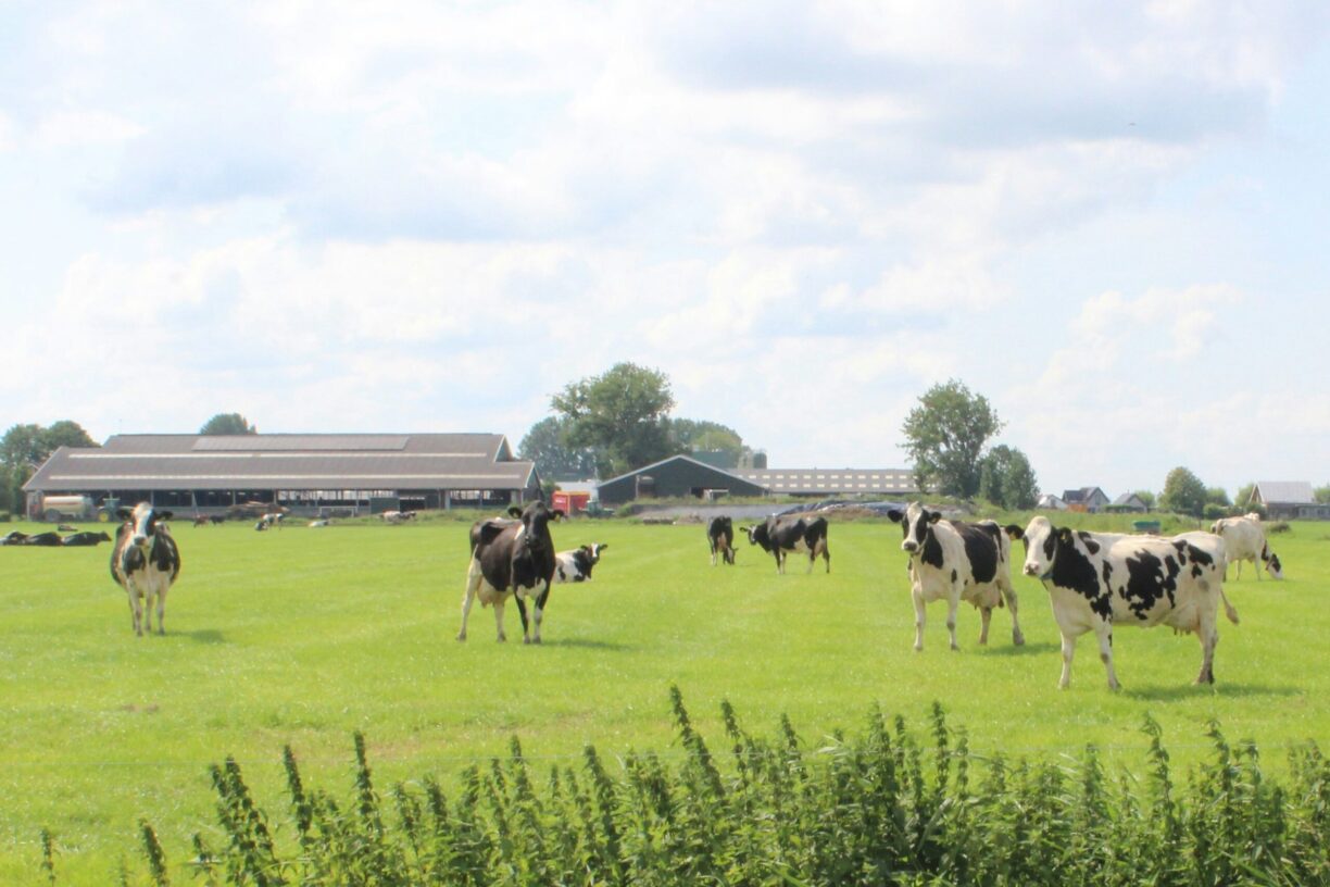 Glamping Camping Nix Hoeve - Bild 5 Glamping Camping Nix Hoeve - Bild 5