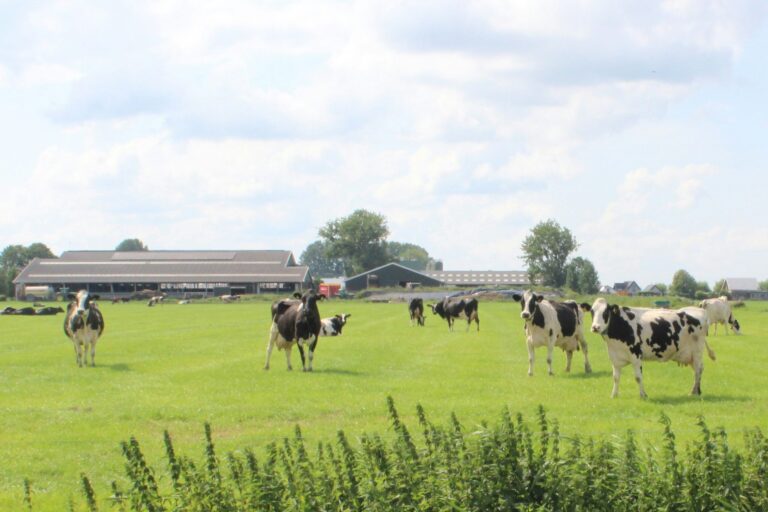 Glamping Camping Nix Hoeve - Bild 5 Glamping Camping Nix Hoeve - Bild 5