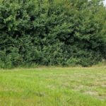 Glamping Camping Nix Hoeve - Bild 6 Glamping Camping Nix Hoeve - Bild 6