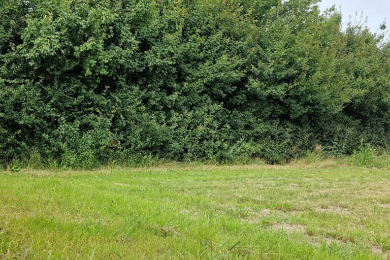 Glamping Camping Nix Hoeve - Bild 6 Glamping Camping Nix Hoeve - Bild 6