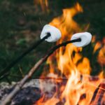 Glamping De Bosweide - Bild 6 Glamping De Bosweide - Bild 6