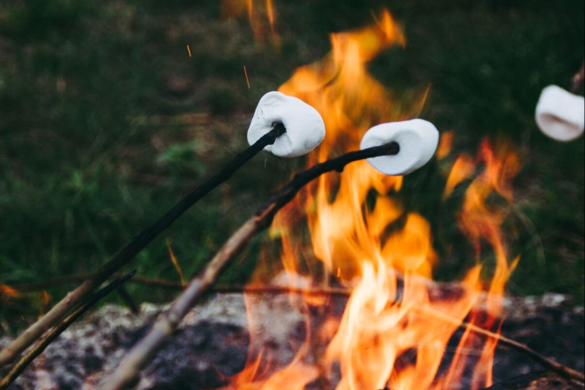 Glamping De Bosweide - Bild 6 Glamping De Bosweide - Bild 6