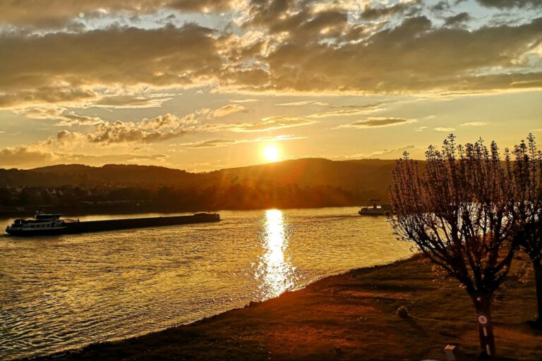 Green Camping Am Rhein - Bild 4