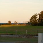 Gut Damp Dorotheenpark - Bild 8