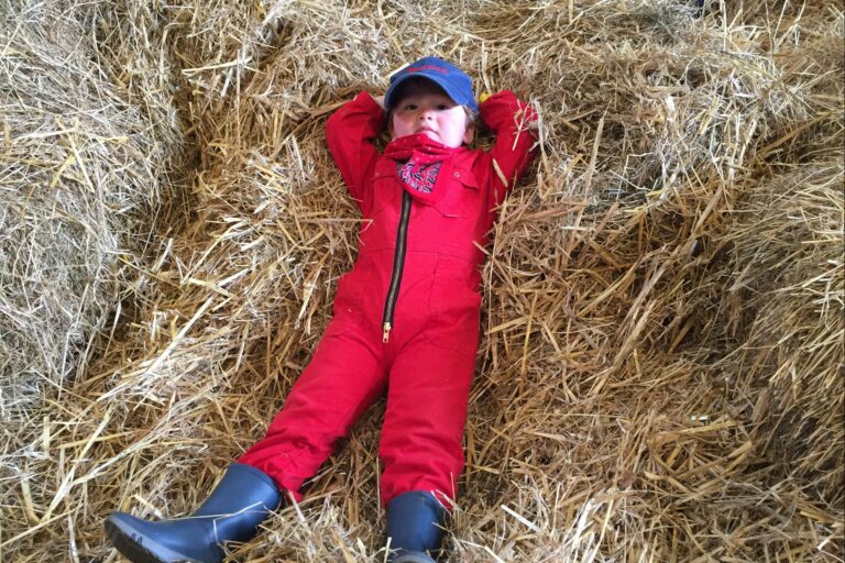 Gyvelborg Økocamping & Gårdbutik - Bild 16