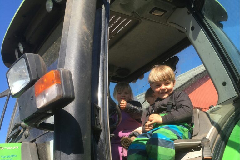 Gyvelborg Økocamping & Gårdbutik - Bild 5