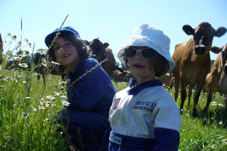 Gyvelborg Økocamping & Gårdbutik - Bild 9