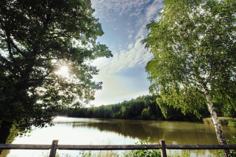 Haarstubencampingplatz Reingers - Bild 11