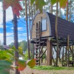 Hafencamp Senftenberger See - Bild 2