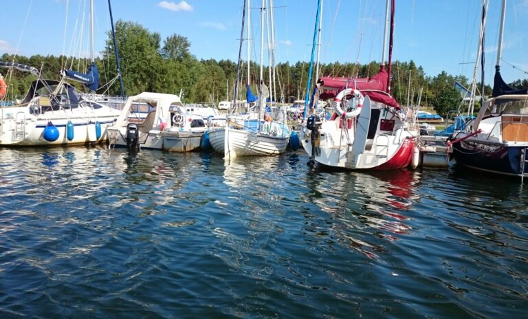 Hafencamp Senftenberger See - Bild 6