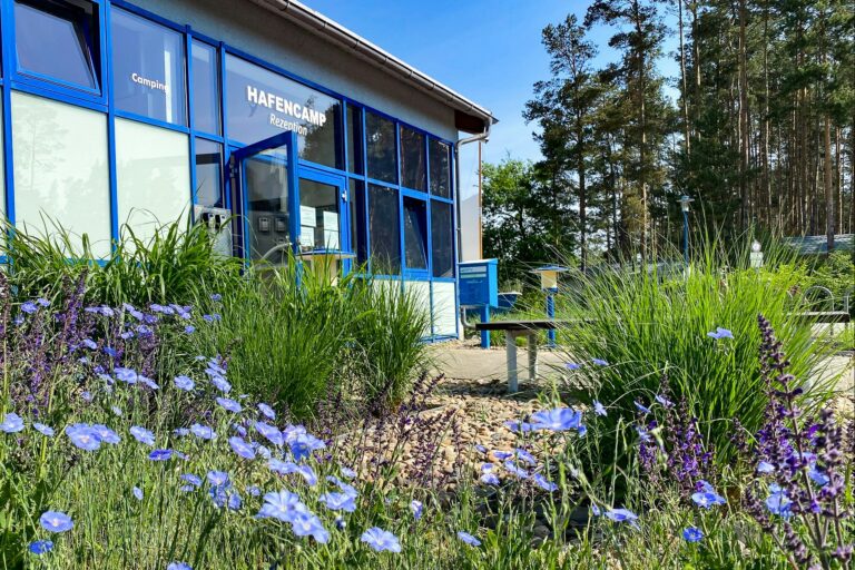 Hafencamp Senftenberger See - Bild 8