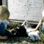 Hals Strand Camping - Bild 8