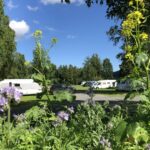 Hammarstrands Camping - Bild 5