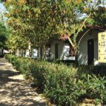 Happy Village Roma - Bild 7