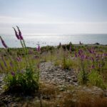 Haverdals Camping - Bild 11 Haverdals Camping - Bild 11