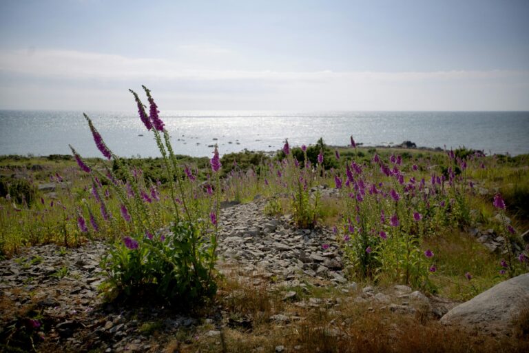 Haverdals Camping - Bild 11 Haverdals Camping - Bild 11