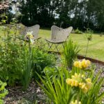 Hestehaven Camping - Bild 5