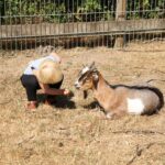 Hjarbæk Fjord Camping - Bild 5