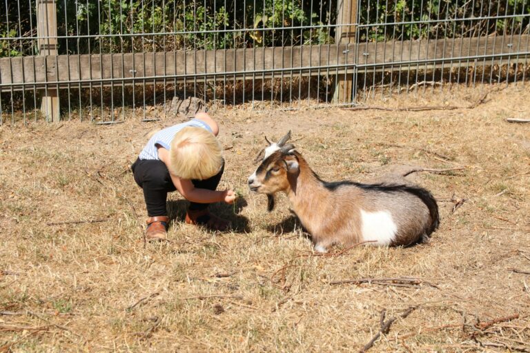 Hjarbæk Fjord Camping - Bild 5
