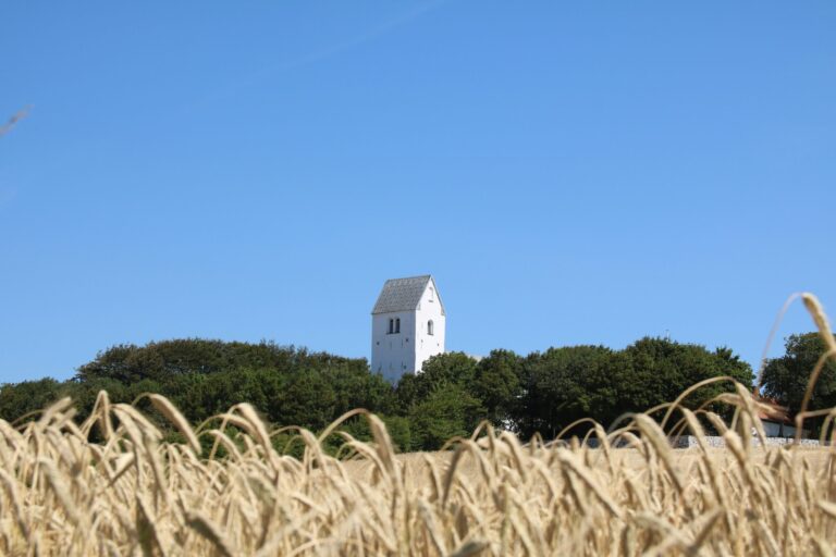 Hjarbæk Fjord Camping - Bild 8