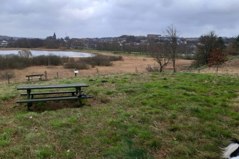 Hobro Camping Gattenborg - Bild 8 Hobro Camping Gattenborg - Bild 8